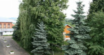 sanatoriy-gorbatov-mvd-rossii00003